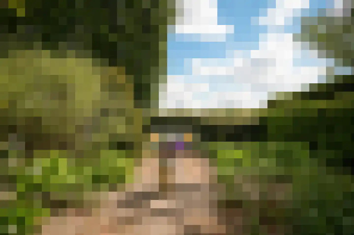 Veldweg 1 Welsum thumbnail 75