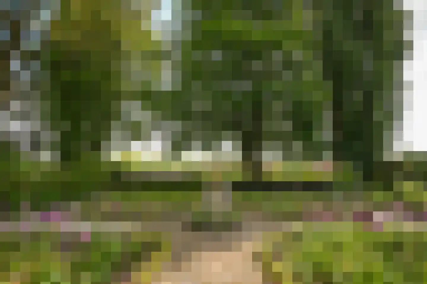Veldweg 1 Welsum thumbnail 76