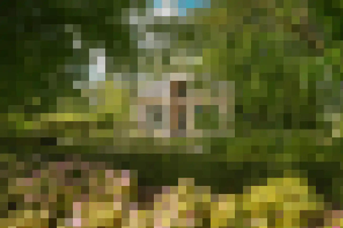 Veldweg 1 Welsum thumbnail 77