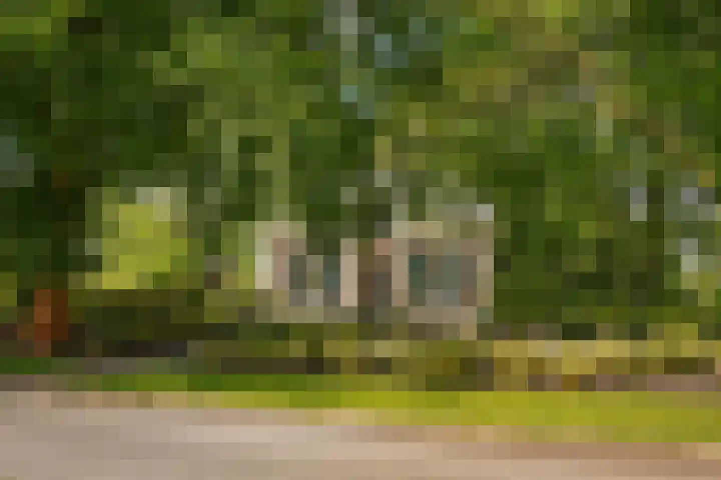 Veldweg 1 Welsum thumbnail 78