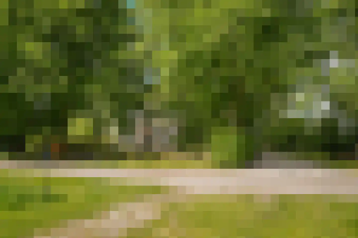 Veldweg 1 Welsum thumbnail 79