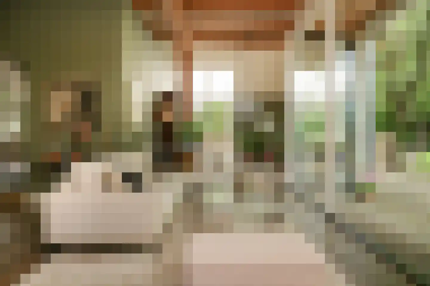 Veldweg 1 Welsum thumbnail 8