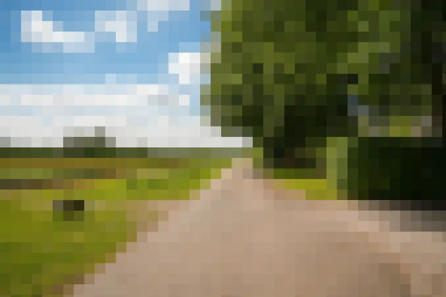 Veldweg 1 Welsum thumbnail 80