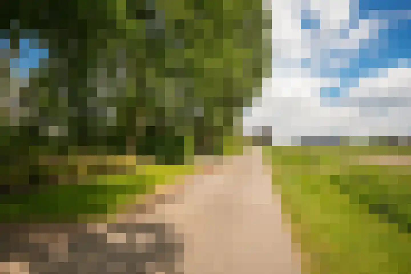 Veldweg 1 Welsum thumbnail 81