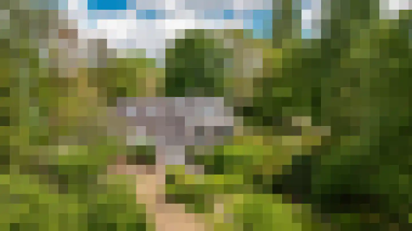 Veldweg 1 Welsum thumbnail 82