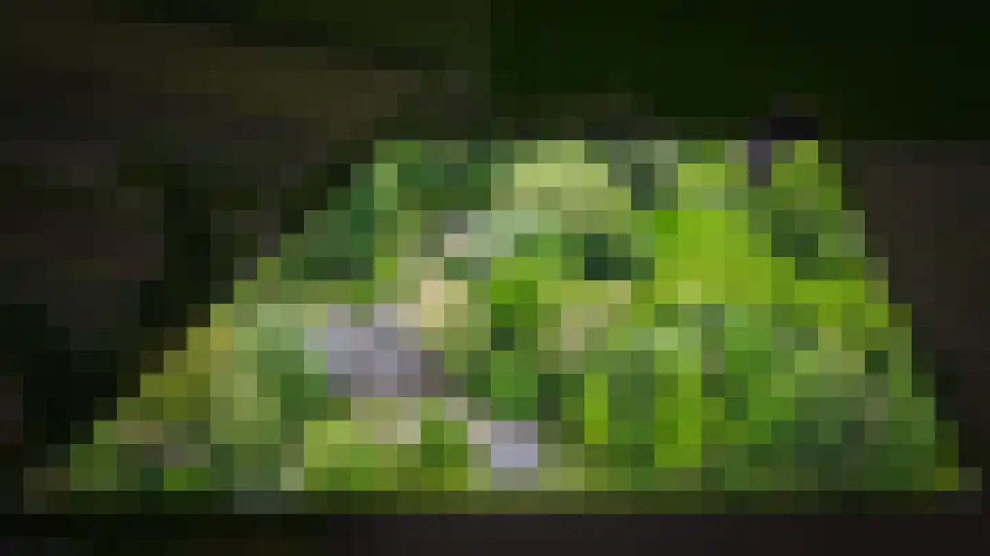 Veldweg 1 Welsum thumbnail 83
