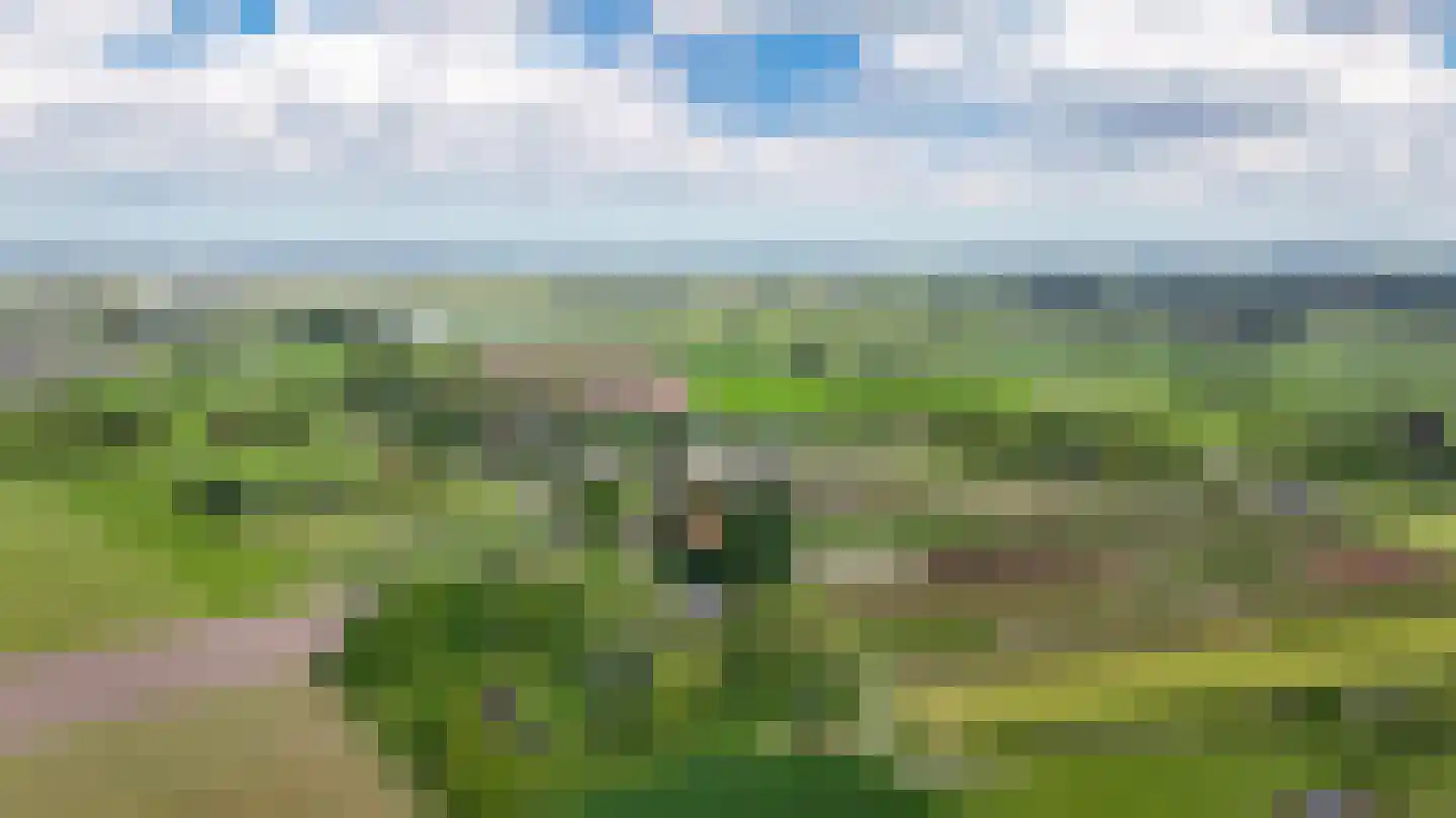 Veldweg 1 Welsum thumbnail 84
