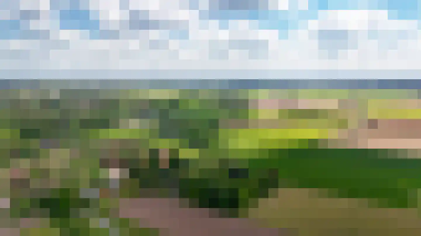 Veldweg 1 Welsum thumbnail 85