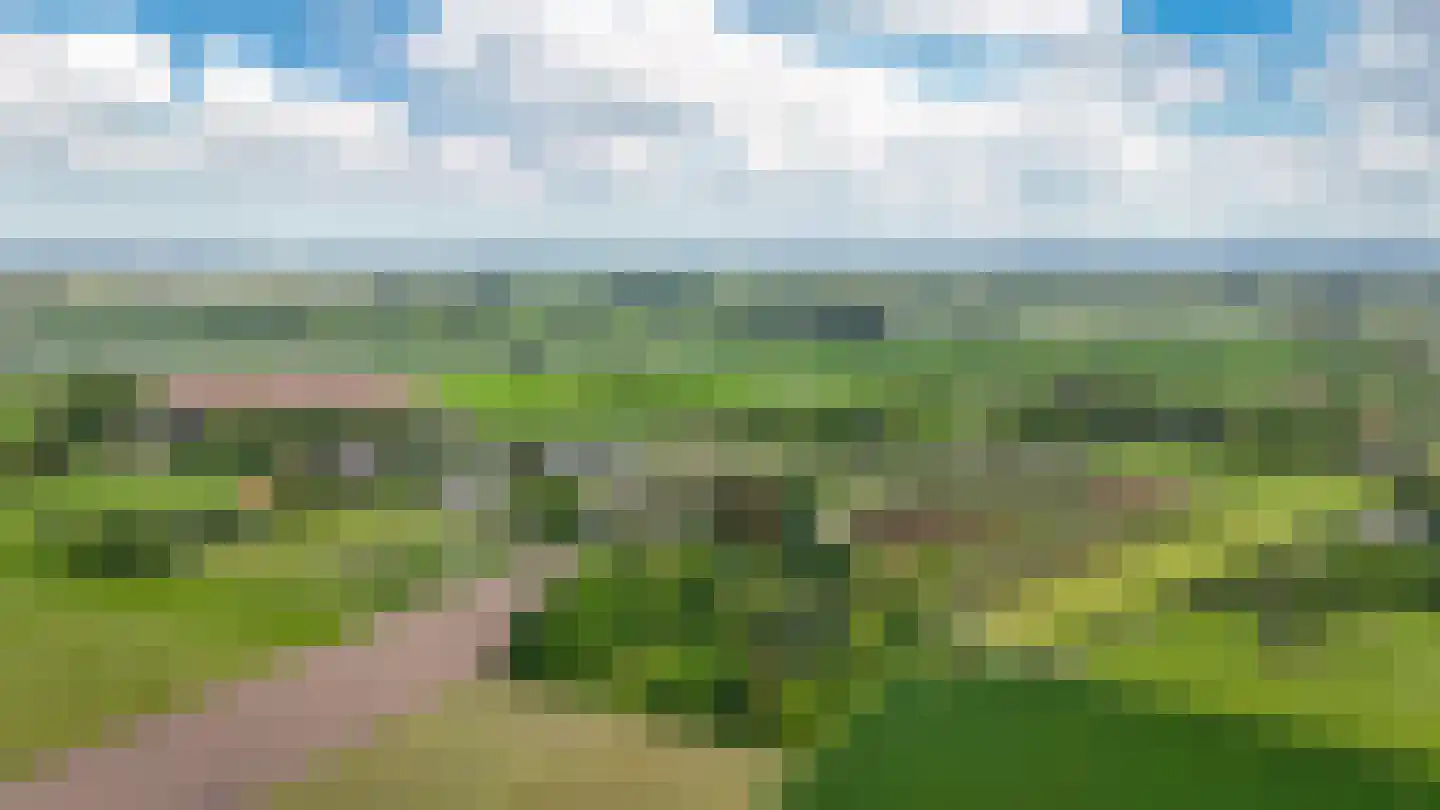 Veldweg 1 Welsum thumbnail 86