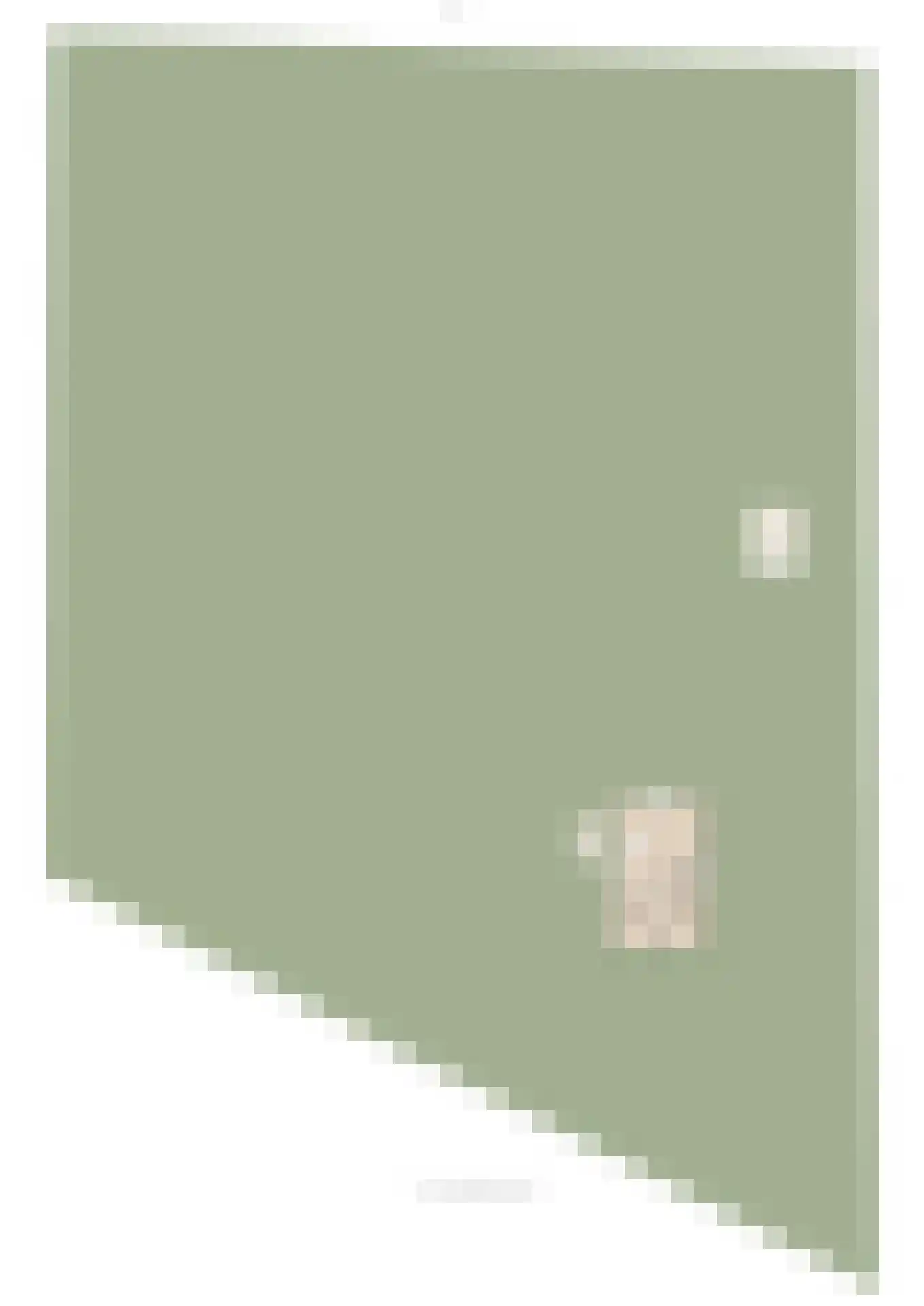 Veldweg 1 Welsum thumbnail 93
