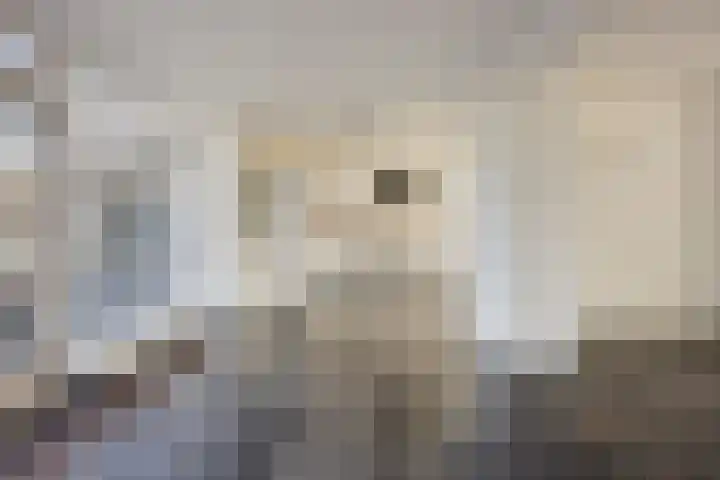 Veldweg 1 Wijchen thumbnail 11