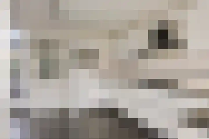 Veldweg 1 Wijchen thumbnail 14