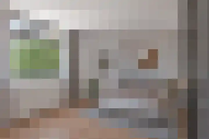 Veldweg 1 Wijchen thumbnail 17