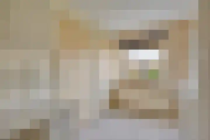 Veldweg 1 Wijchen thumbnail 32