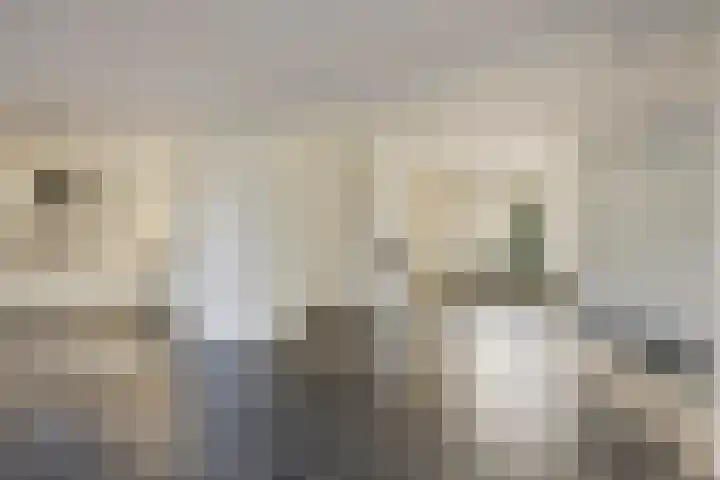 Veldweg 1 Wijchen thumbnail 5