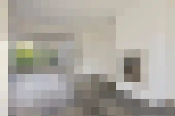 Veldweg 1 Wijchen thumbnail 8