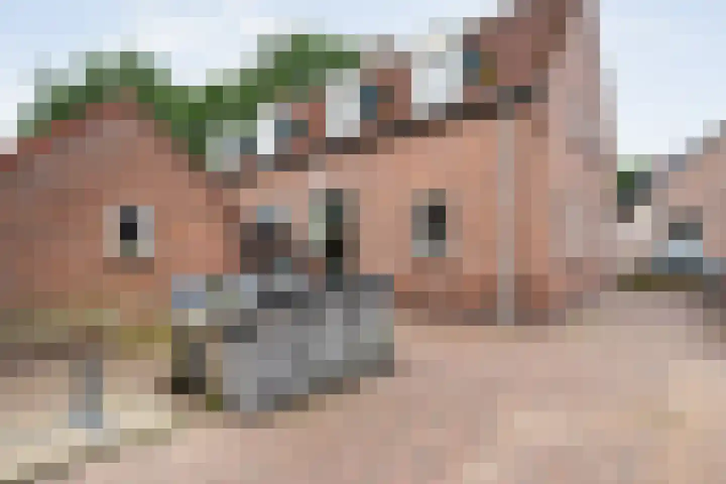 Veldweg 1 Zwolle thumbnail 37