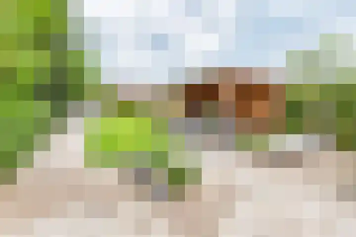 Veldweg 10 Gendringen thumbnail 4