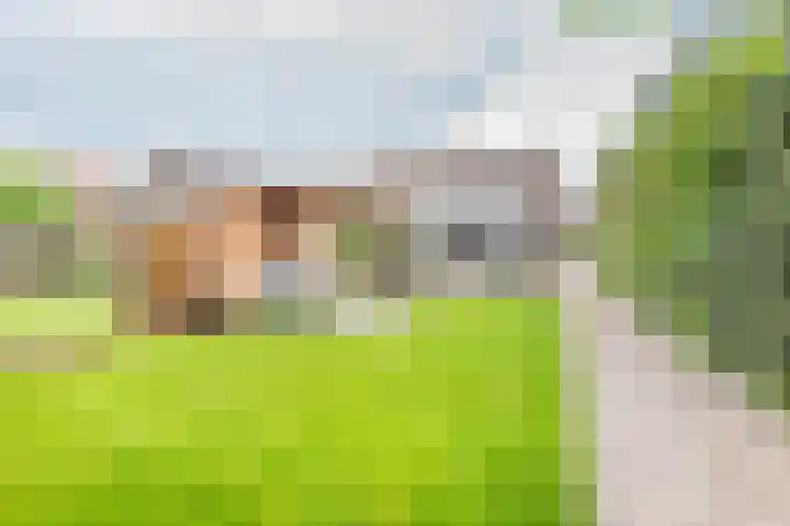 Veldweg 10 Gendringen thumbnail 45