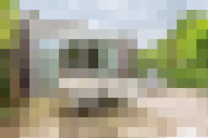 Veldweg 10 Gendringen thumbnail 46