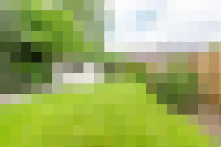 Veldweg 10 Gendringen thumbnail 52