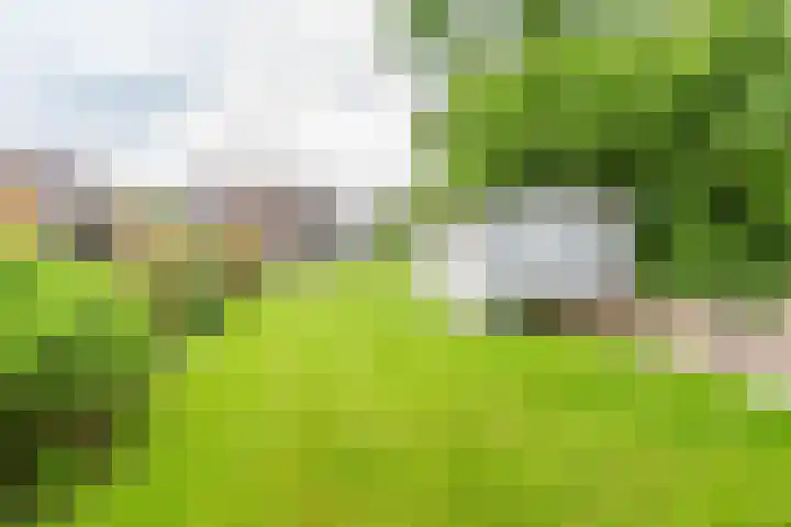 Veldweg 10 Gendringen thumbnail 53