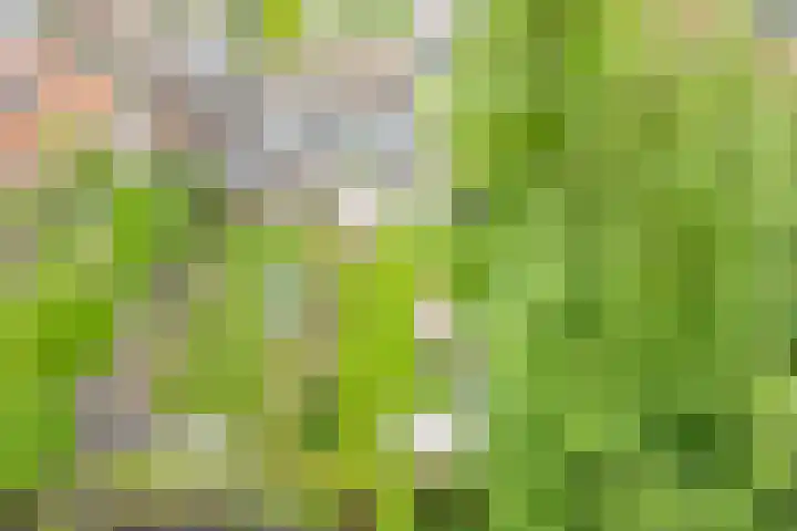 Veldweg 10 Gendringen thumbnail 55