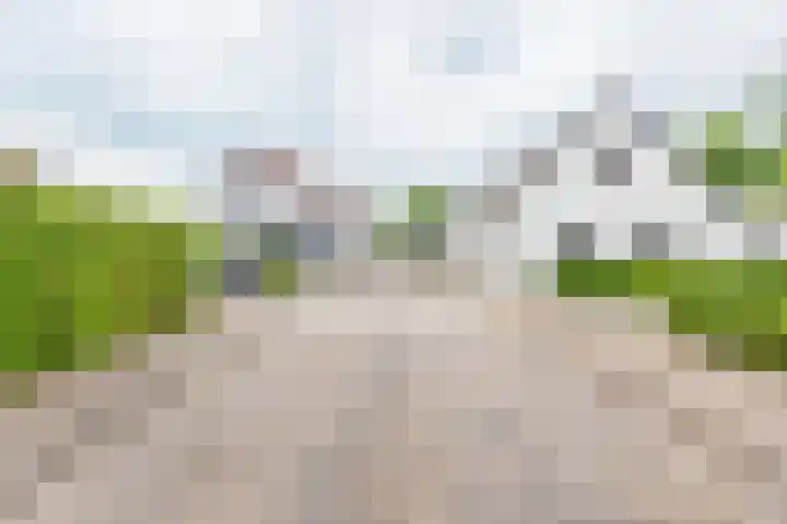 Veldweg 10 Gendringen thumbnail 57