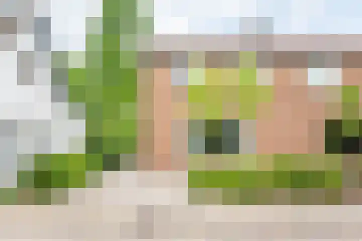 Veldweg 10 Gendringen thumbnail 6