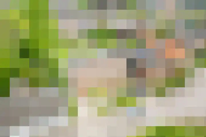 Veldweg 10 Gendringen thumbnail 7