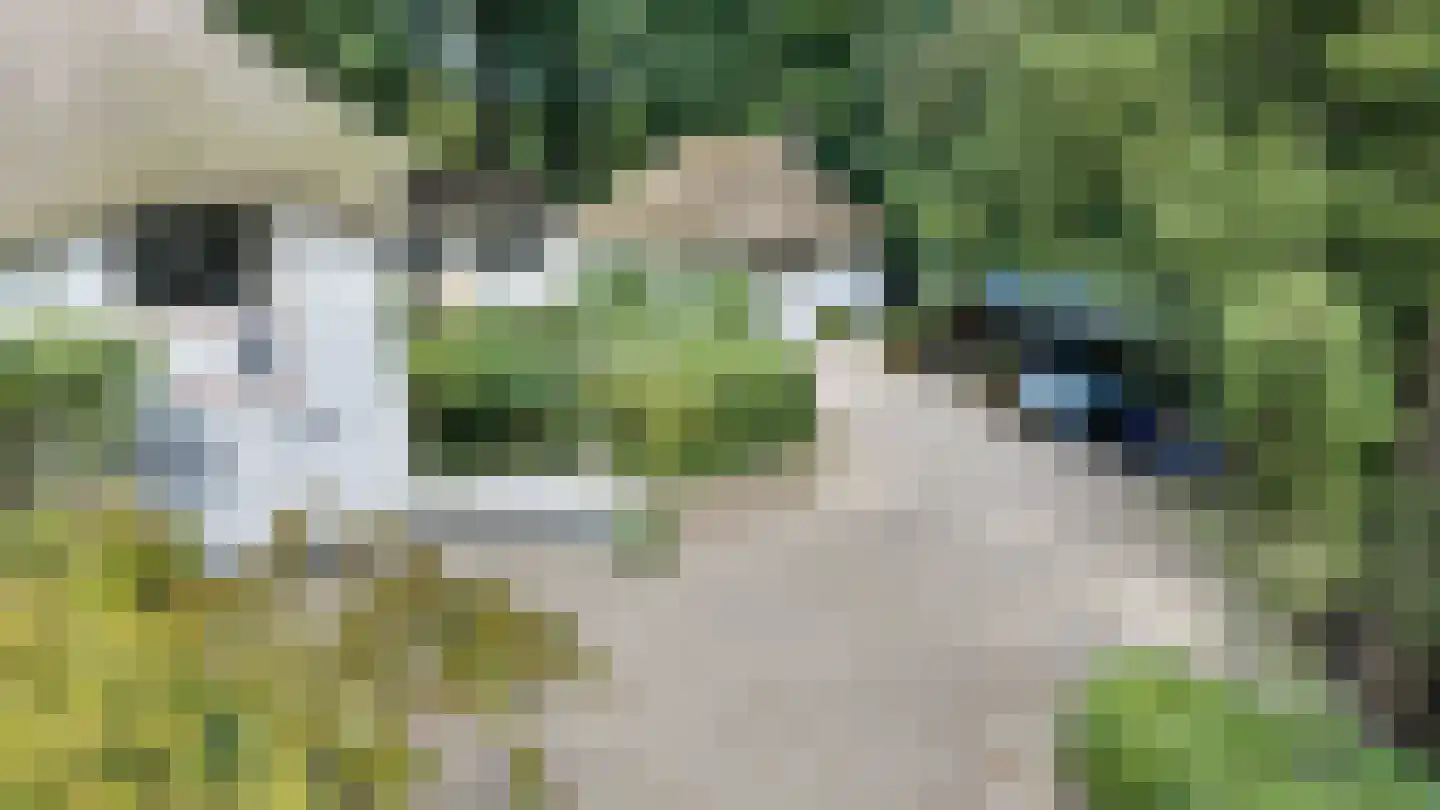 Veldweg 10 Hattem thumbnail 36