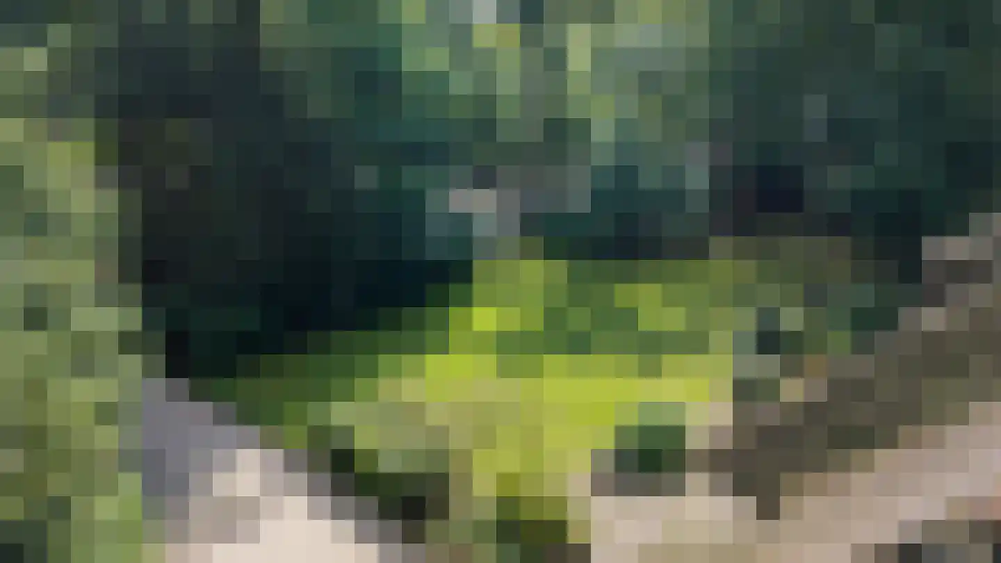 Veldweg 10 Hattem thumbnail 39