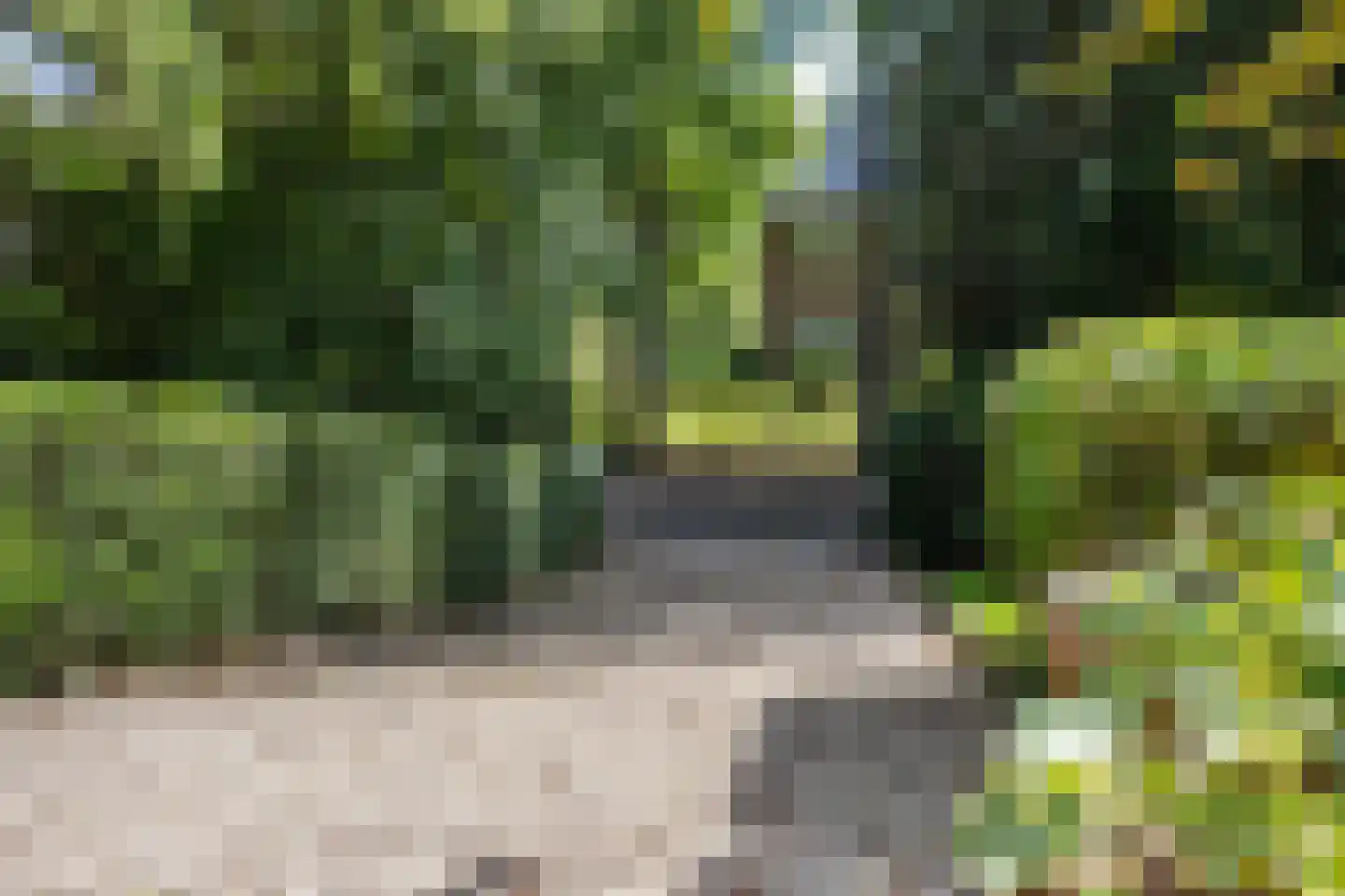 Veldweg 10 Hattem thumbnail 40