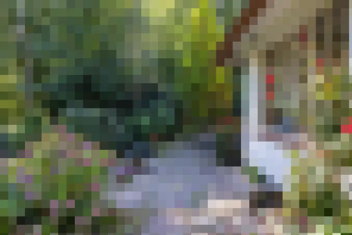 Veldweg 10 Hattem thumbnail 42