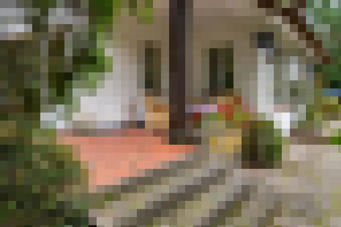 Veldweg 10 Hattem thumbnail 44