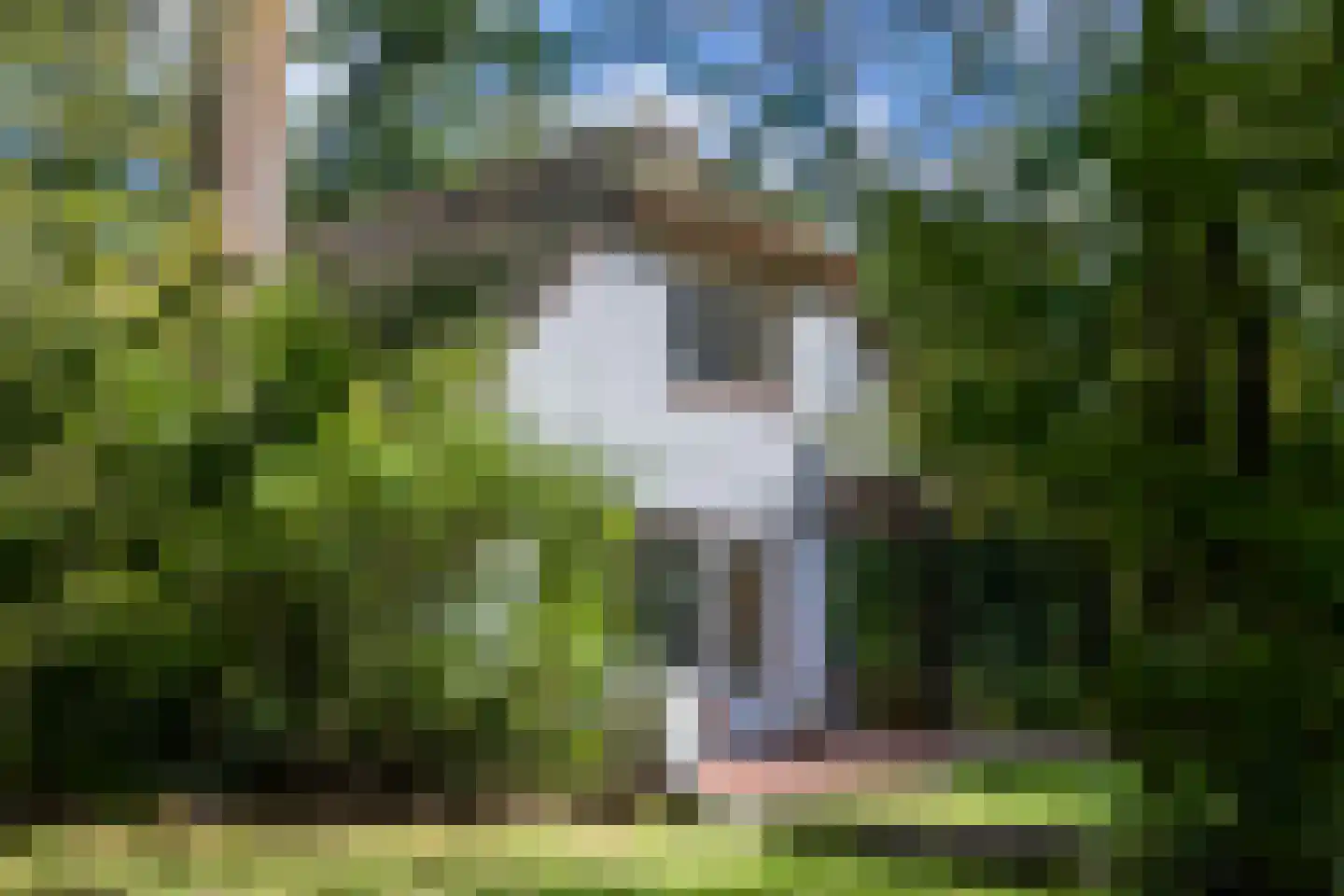 Veldweg 10 Hattem thumbnail 47