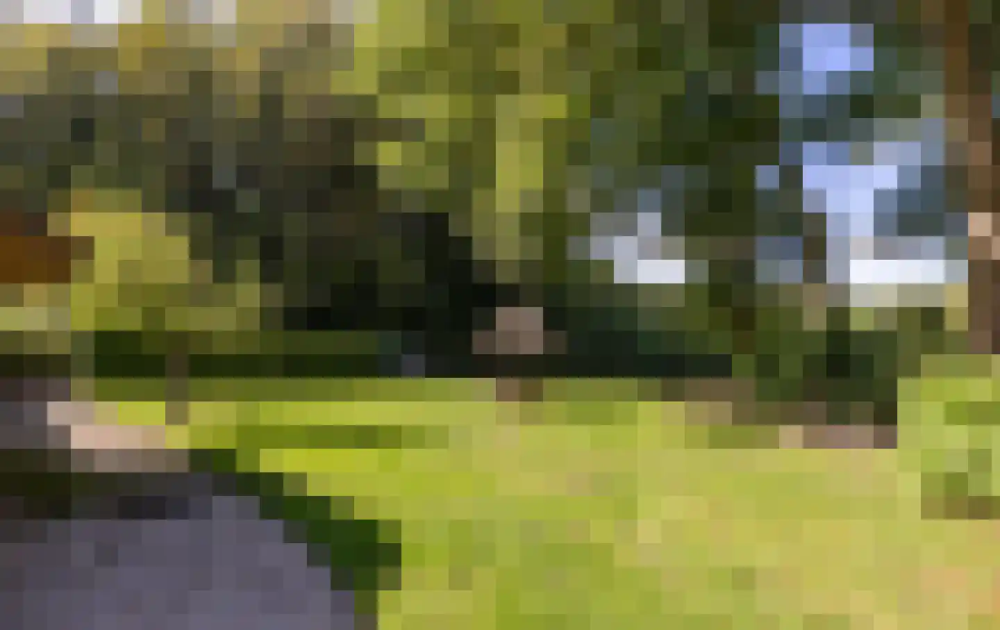 Veldweg 10 Hattem thumbnail 50