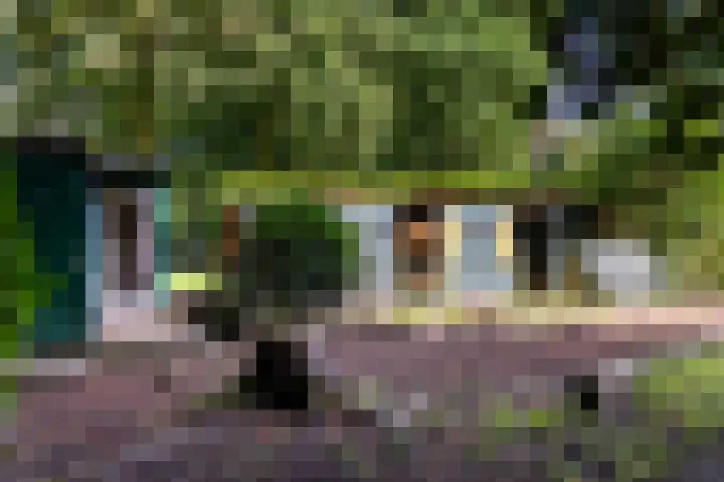 Veldweg 10 Hattem thumbnail 52