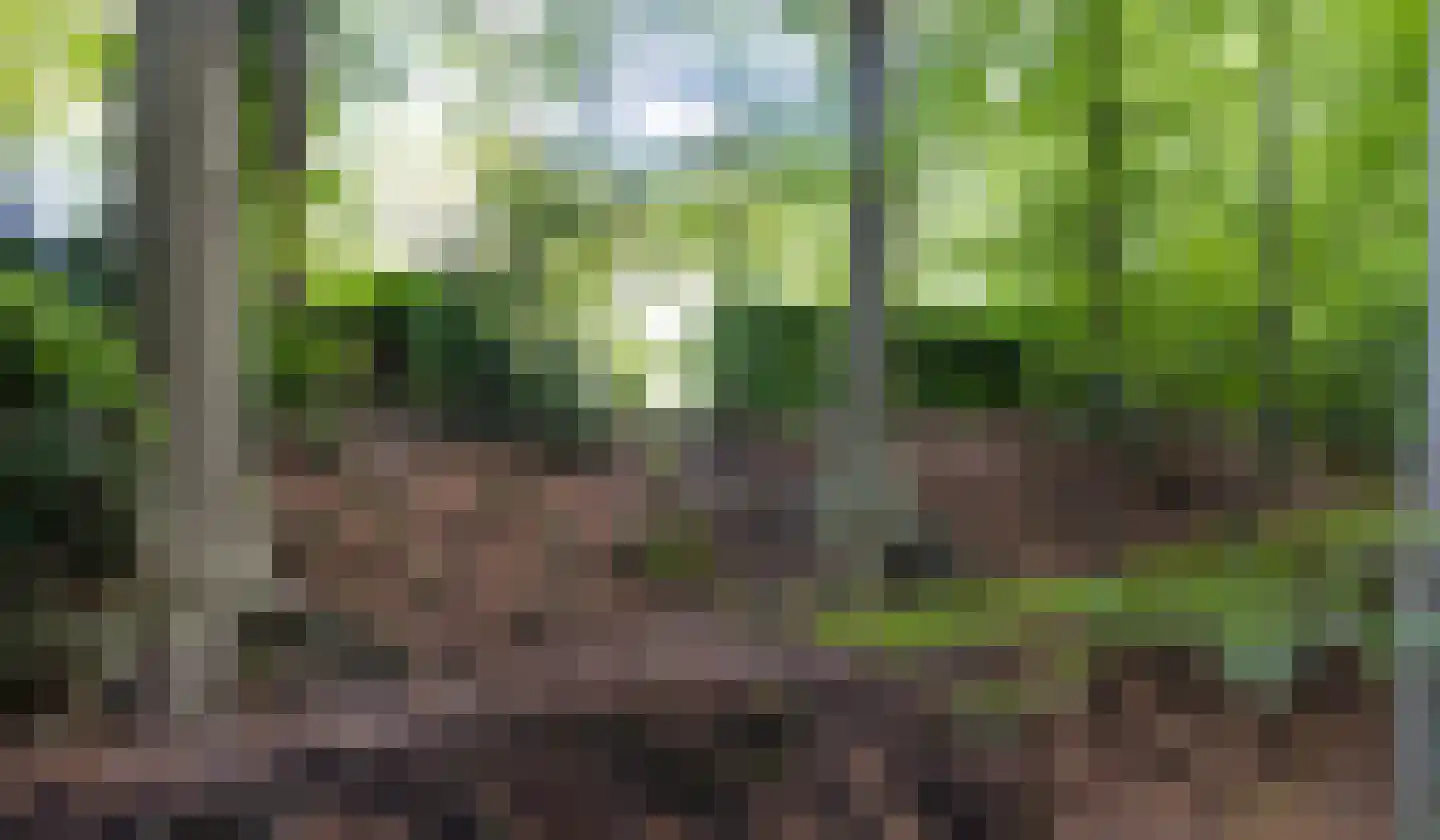 Veldweg 10 Hattem thumbnail 53
