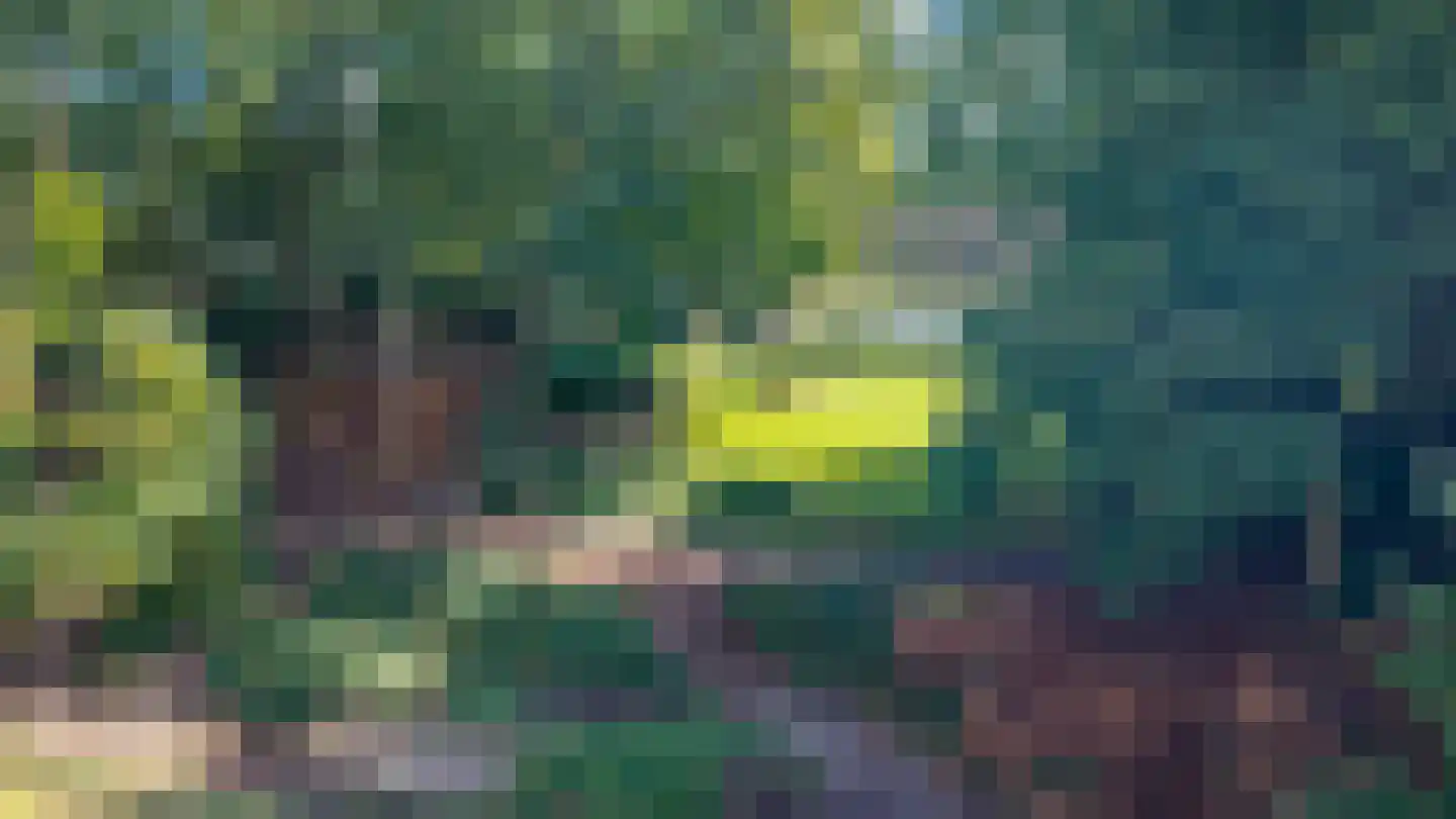 Veldweg 10 Hattem thumbnail 56