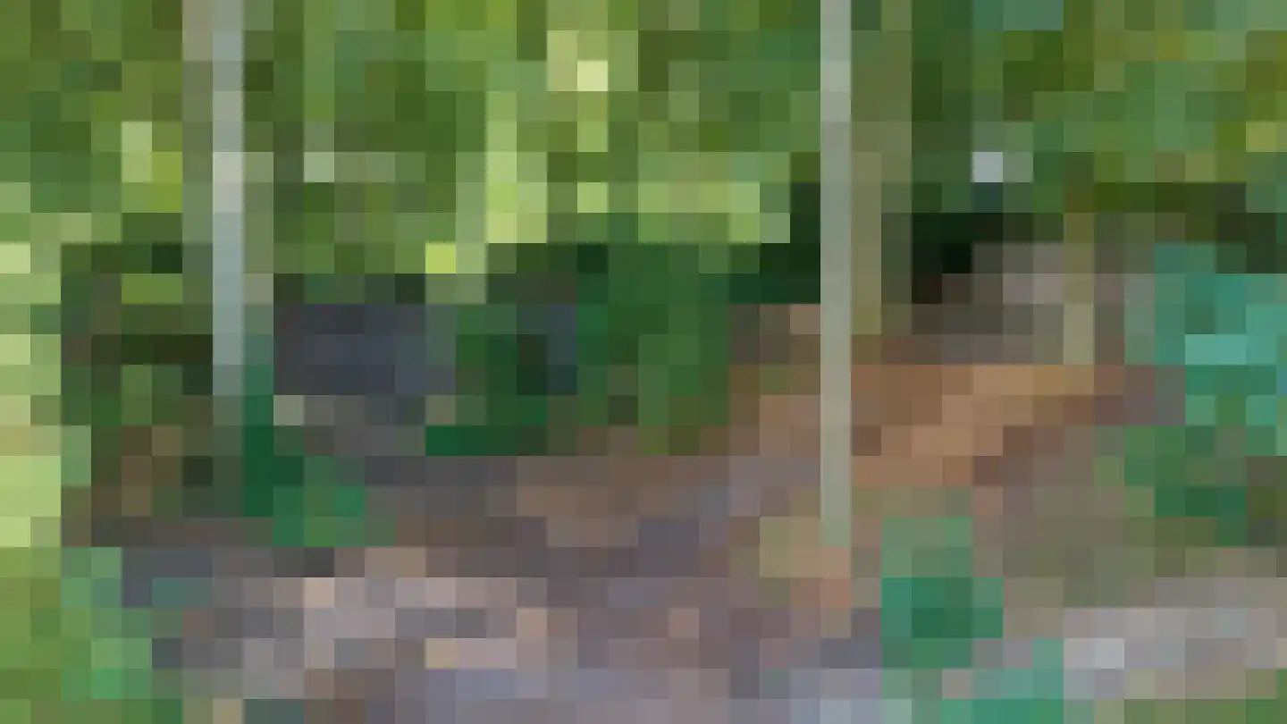 Veldweg 10 Hattem thumbnail 57
