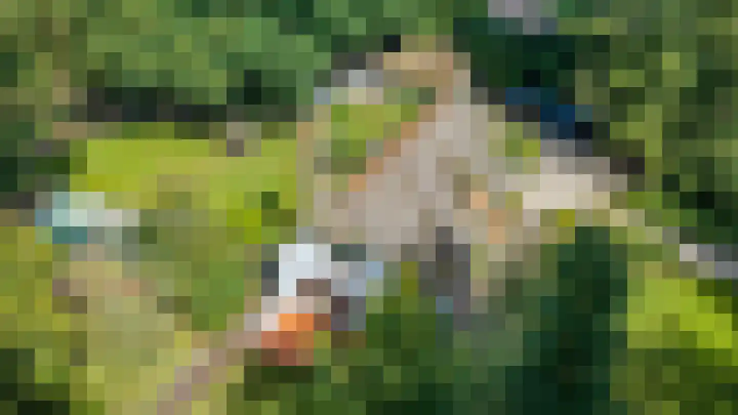 Veldweg 10 Hattem thumbnail 58