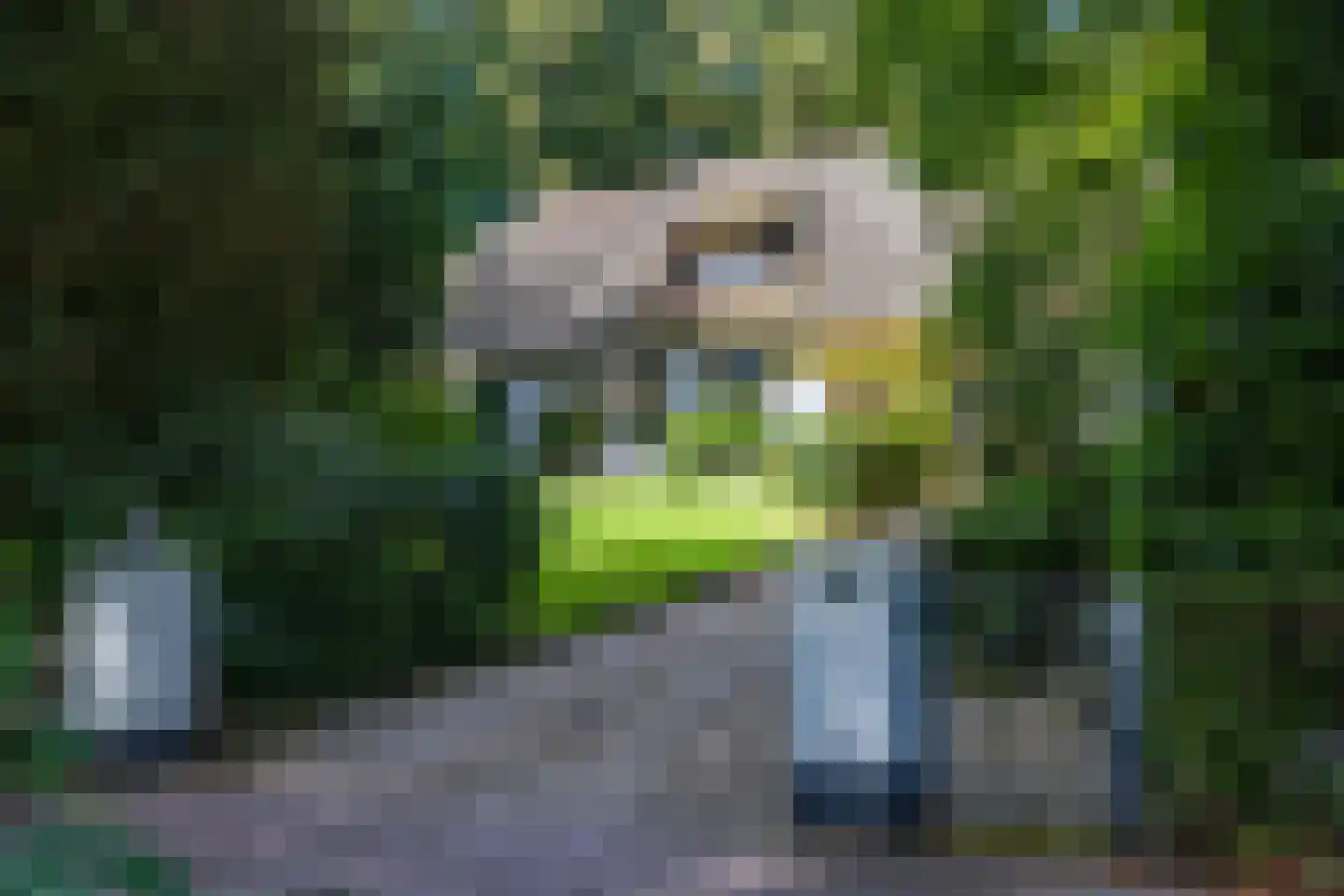 Veldweg 10 Hattem thumbnail 6