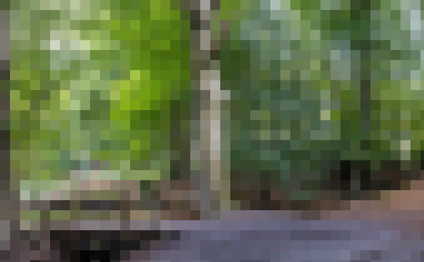 Veldweg 10 Hattem thumbnail 61