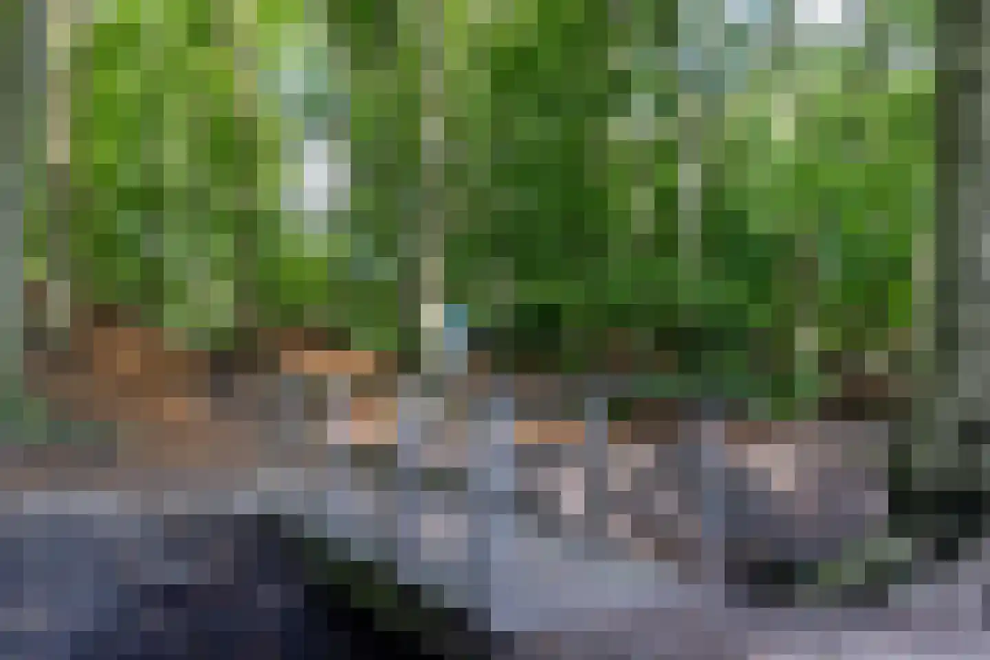 Veldweg 10 Hattem thumbnail 62