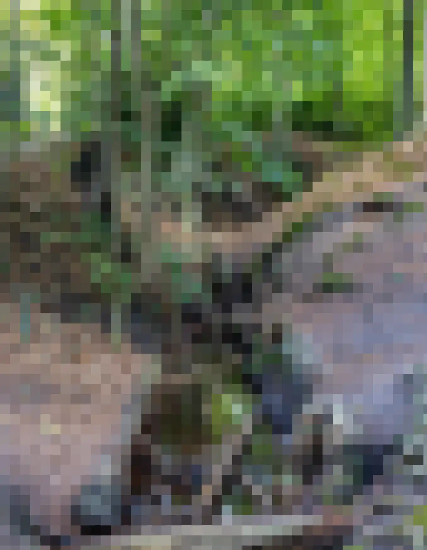 Veldweg 10 Hattem thumbnail 64