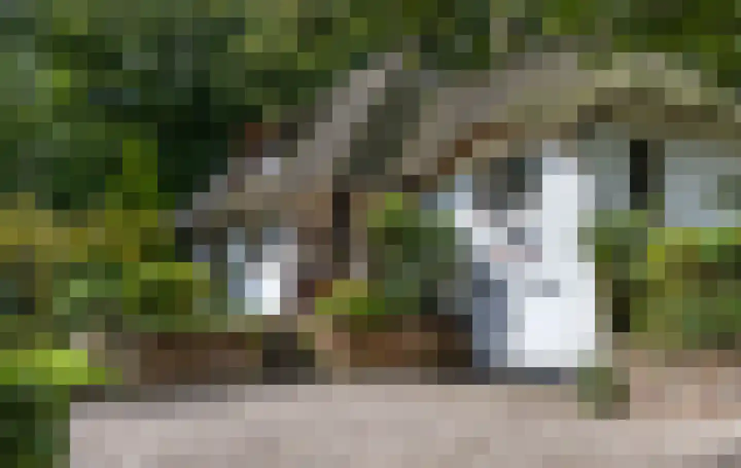 Veldweg 10 Hattem thumbnail 7