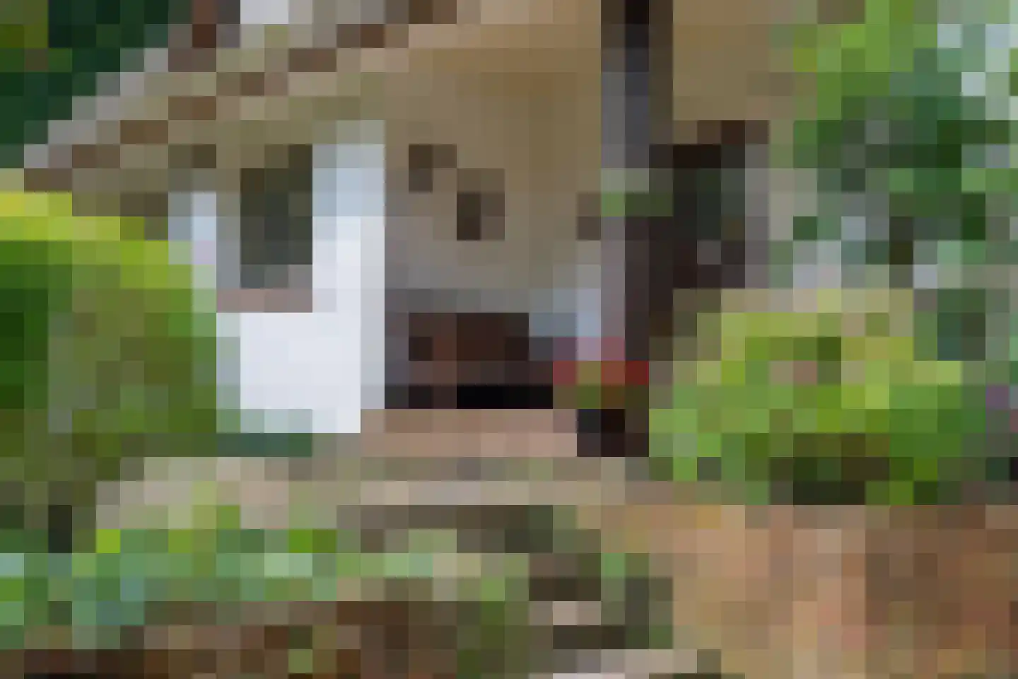 Veldweg 10 Hattem thumbnail 8