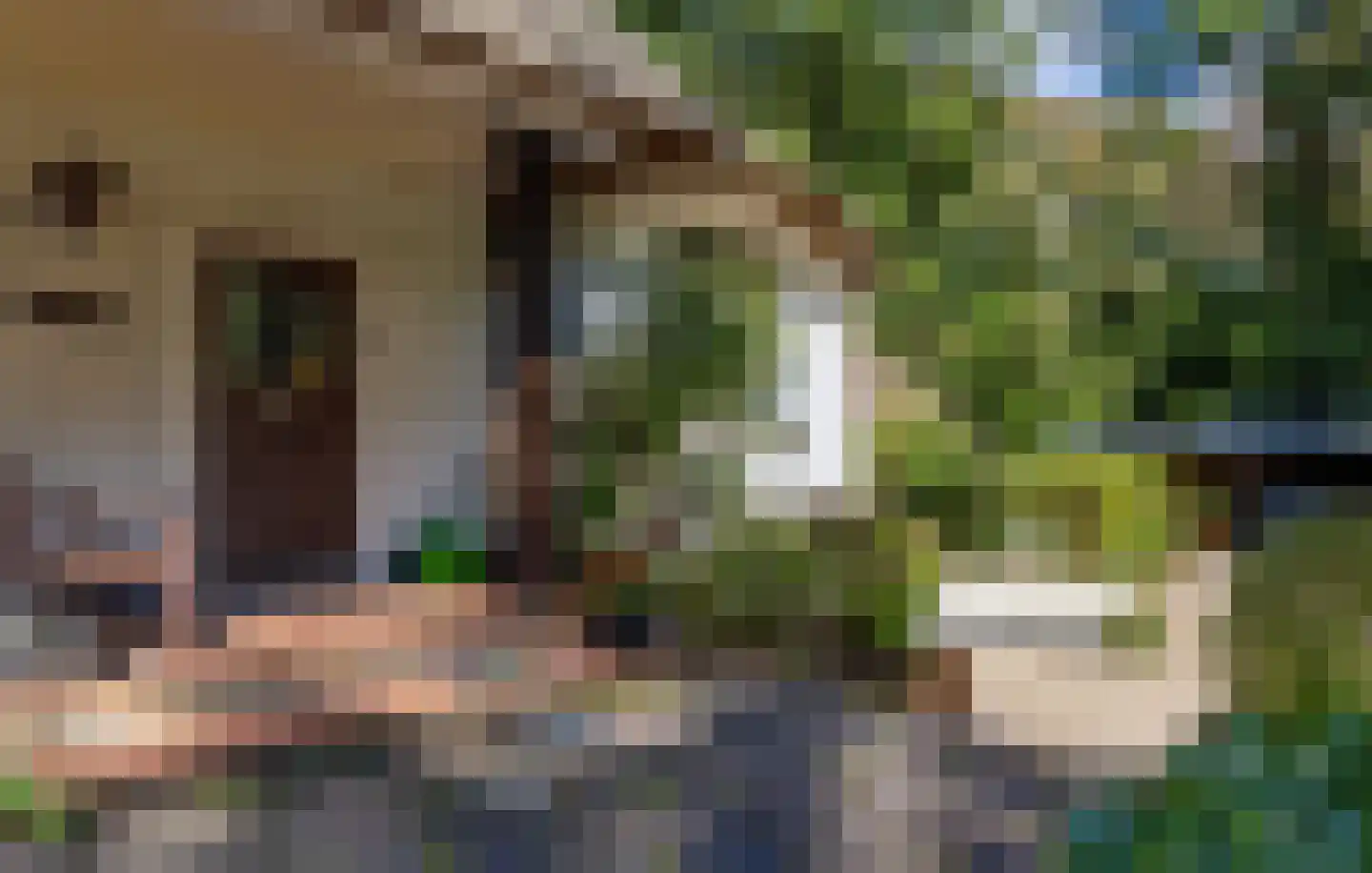 Veldweg 10 Hattem thumbnail 9