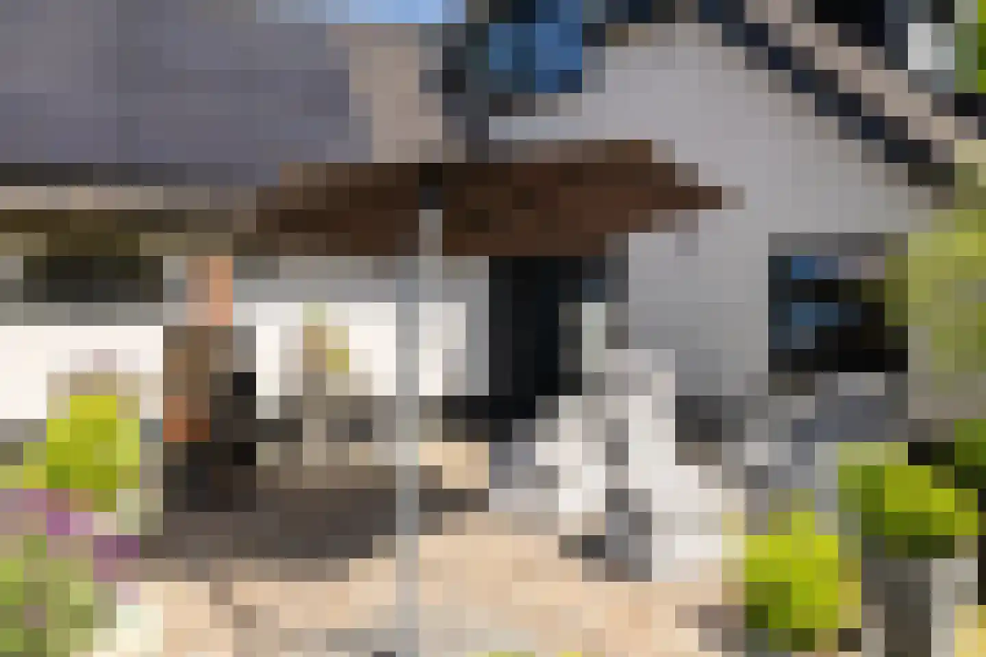 Veldweg 10 Nunspeet thumbnail 11